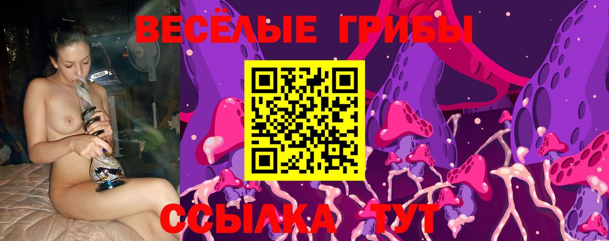 Галлюциногенные грибы мухоморы Калининград