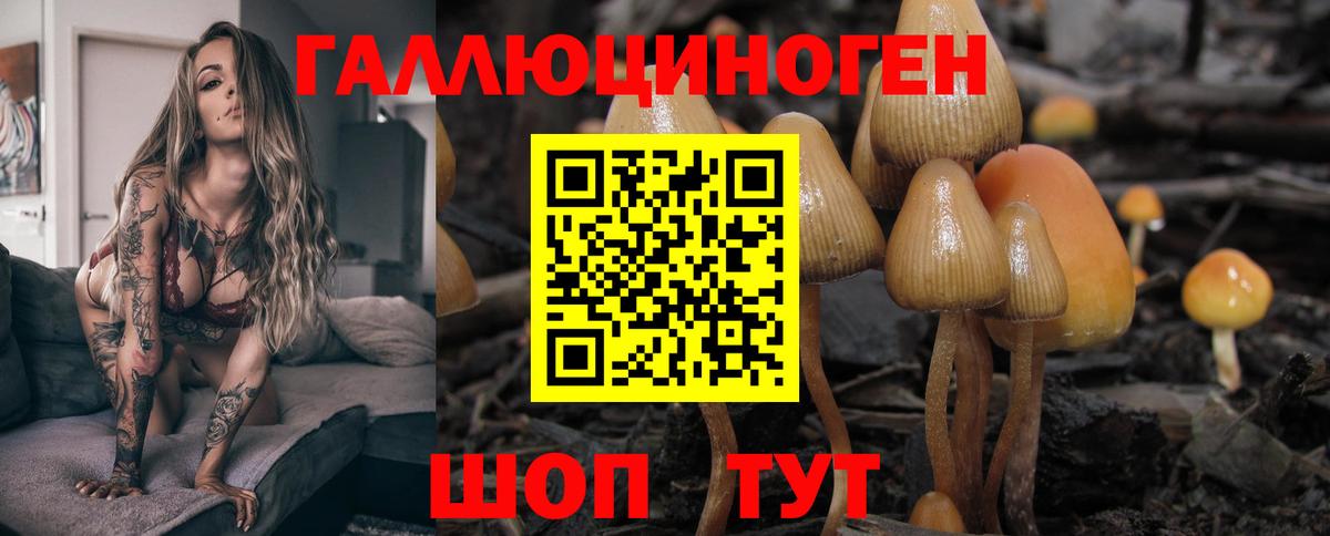 Калининград  Псилоцибиновые грибы MAGIC MUSHROOMS  Вход с VPN  Галлюциногенные грибы ЛСД 